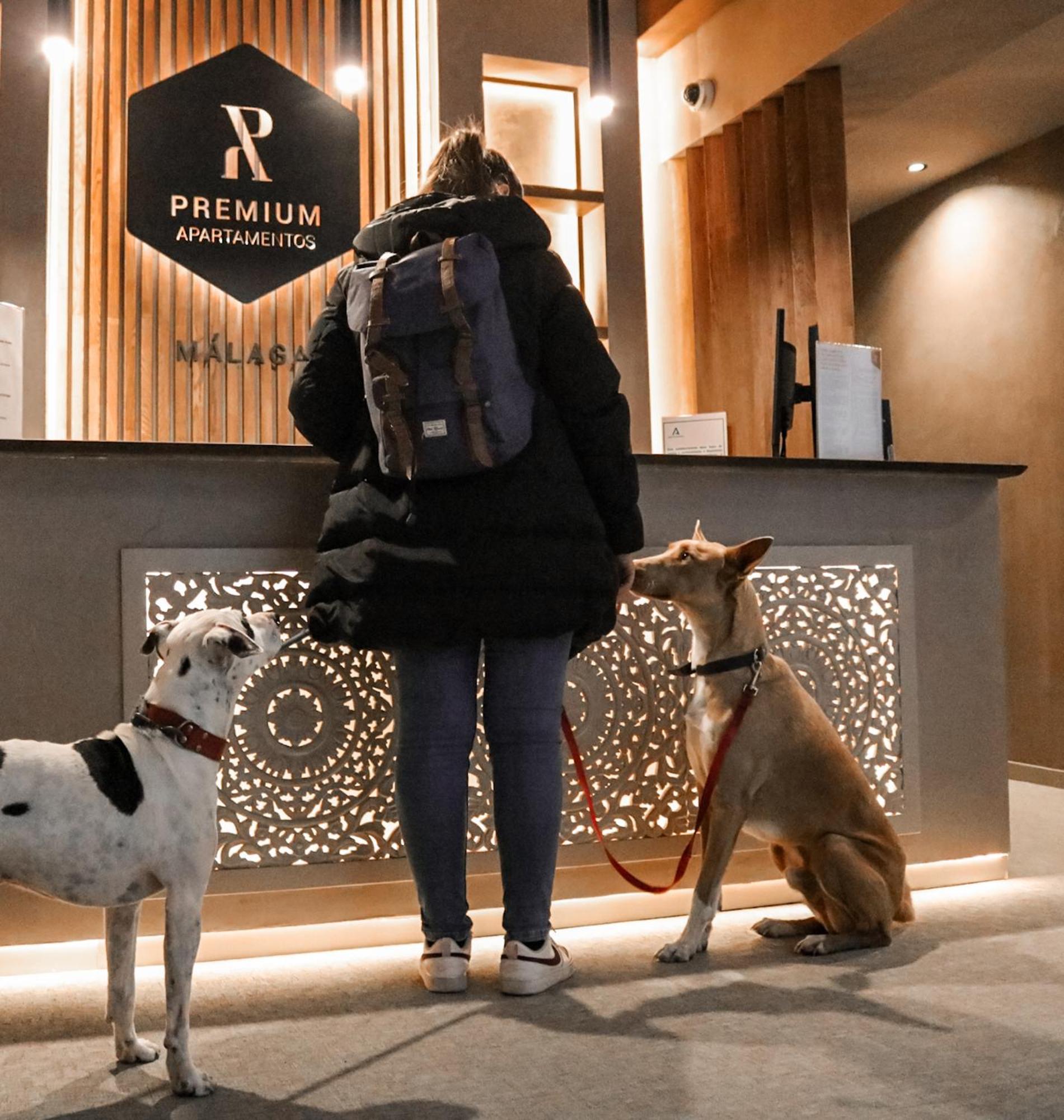 Apartamentos Malaga Premium - Calle San Telmo Εξωτερικό φωτογραφία
